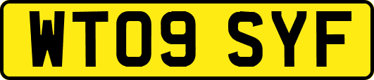 WT09SYF