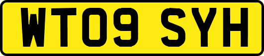 WT09SYH