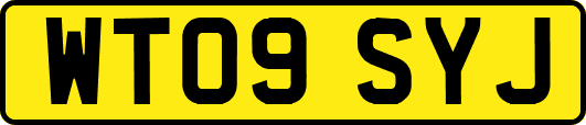 WT09SYJ