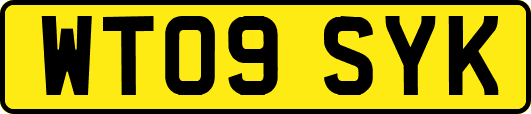 WT09SYK