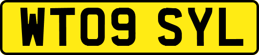 WT09SYL