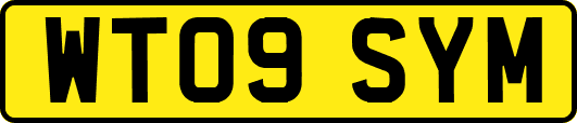 WT09SYM