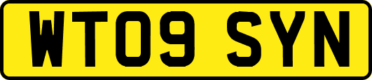 WT09SYN