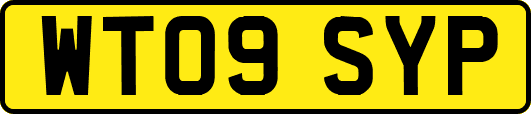 WT09SYP