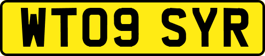 WT09SYR