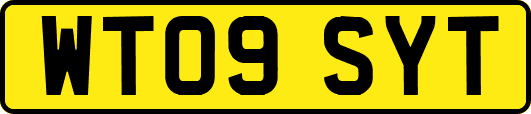WT09SYT