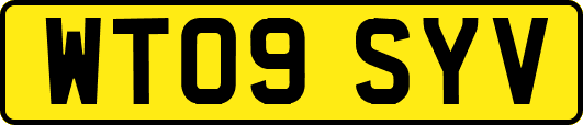 WT09SYV