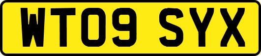 WT09SYX