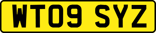 WT09SYZ