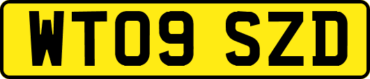 WT09SZD