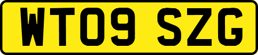 WT09SZG