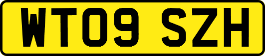 WT09SZH
