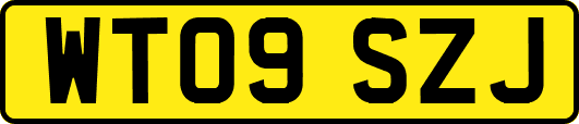 WT09SZJ