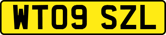 WT09SZL