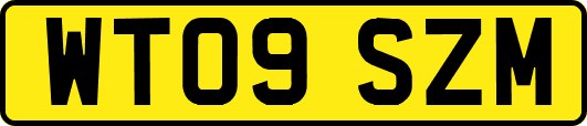 WT09SZM