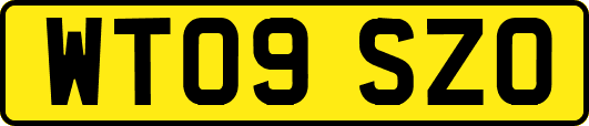 WT09SZO