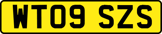 WT09SZS