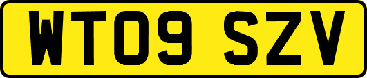 WT09SZV
