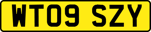 WT09SZY