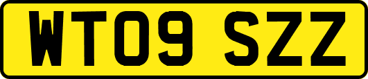 WT09SZZ