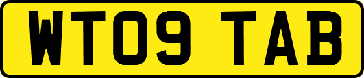 WT09TAB