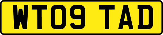 WT09TAD