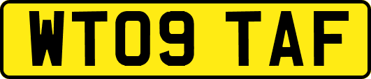 WT09TAF
