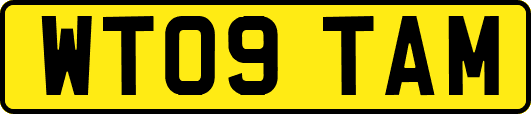 WT09TAM