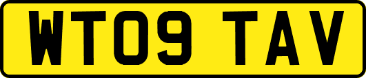 WT09TAV