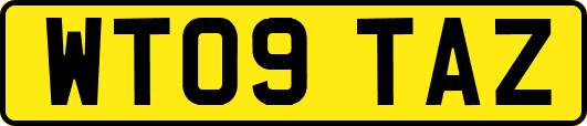 WT09TAZ