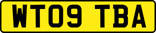 WT09TBA