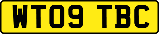 WT09TBC
