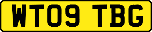 WT09TBG
