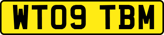 WT09TBM