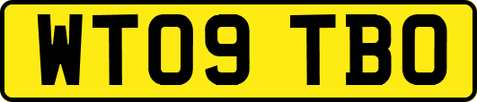 WT09TBO