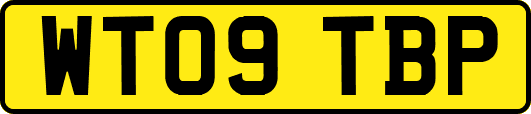 WT09TBP