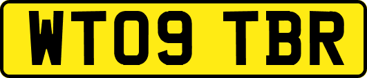 WT09TBR