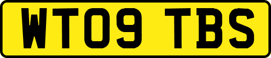 WT09TBS