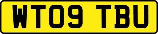 WT09TBU