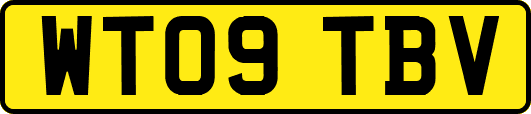 WT09TBV