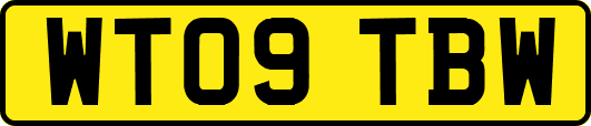 WT09TBW