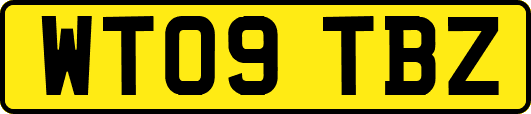 WT09TBZ