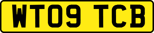 WT09TCB