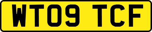 WT09TCF