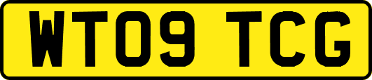 WT09TCG