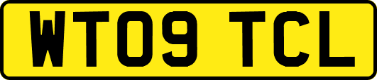 WT09TCL