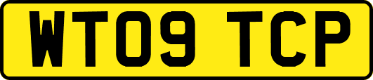 WT09TCP