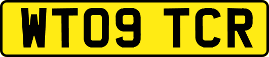 WT09TCR