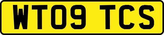 WT09TCS