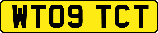 WT09TCT